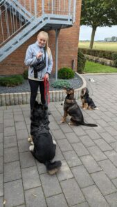 Foto von Reeser-Hundeservice